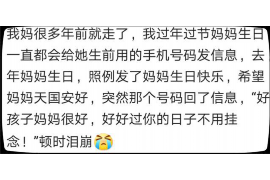 海盐为什么选择专业追讨公司来处理您的债务纠纷？